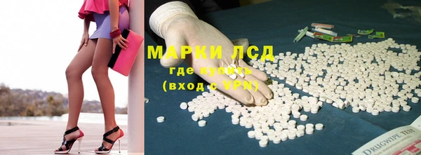 СК Медногорск