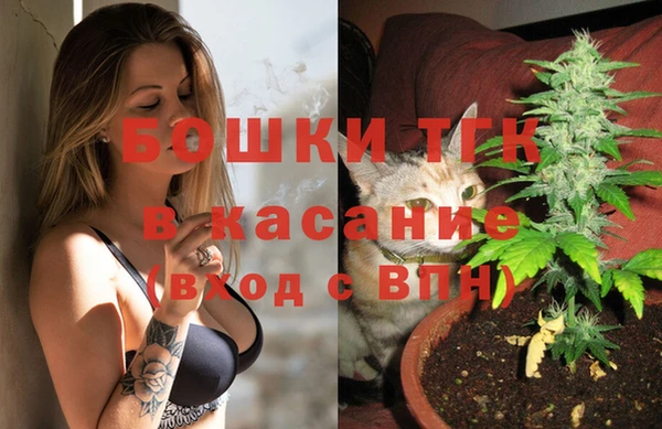 СК Медногорск