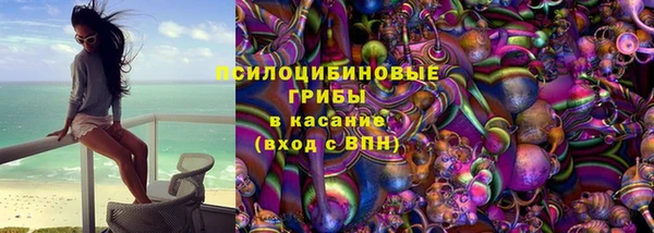 СК Медногорск