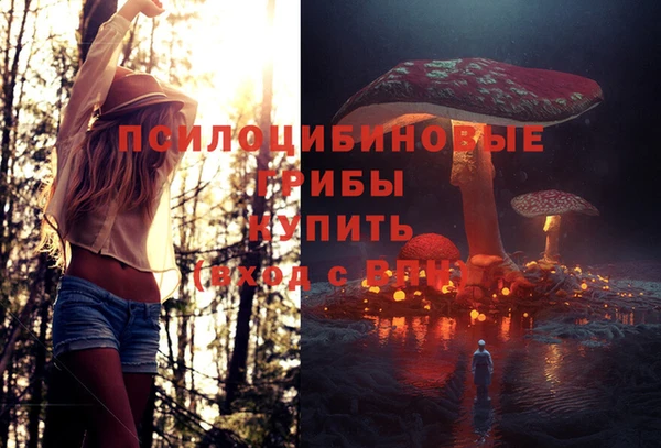apvp Медвежьегорск