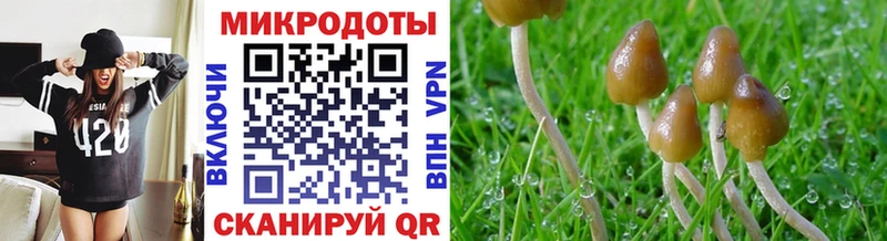 Псилоцибиновые грибы Magic Shrooms  Купить где  Николаевск-на-Амуре 